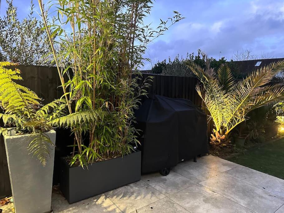 ファーンダウン Northbourne Houseヴィラ エクステリア 写真
